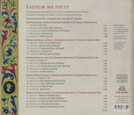 Salvum me fecit | Zondagen VI-X