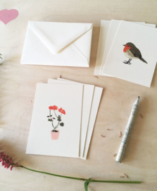 mini cards and envelop | Geranium & robin (set)