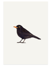 print | Black bird