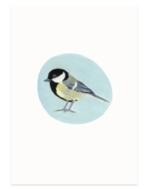 postcard | Great tit