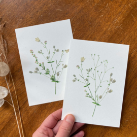 postcard | Nordic flowers cream