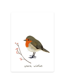 gift card | Robin winter