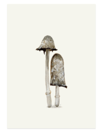 postcard | Ink cap