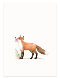 postcard | Fox & heart