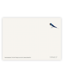 postcard | Barn swallow