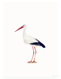 postcard | Stork