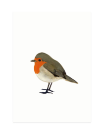 mini card | Robin (A7)