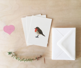 mini cards and envelop | Geranium & robin (set)