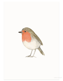 postcard | Robin watercolor