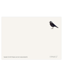 postcard | Jackdaw