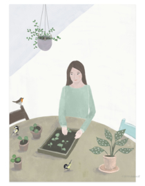 postcard | Sowing