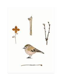 mini card | Goldcrest & branches (A7)