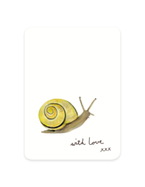 gift card | Snail
