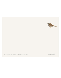 postcard | Hedge sparrow