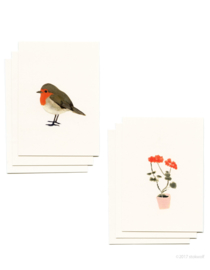 mini kaartjes en envelop | Geranium & roodborstje (set)