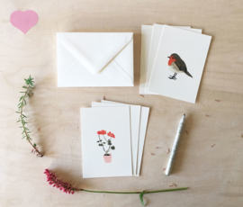 mini cards and envelop | Geranium & robin (set)