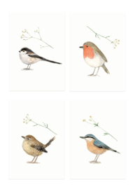 mini kaartjes | Vogels & bloem (set)