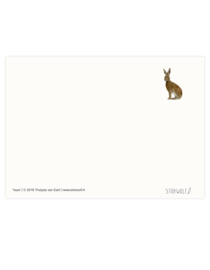 postcard | Hare