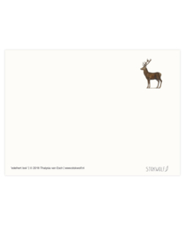 postcard | Red deer male