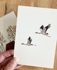 postkaart | Vliegende kraanvogels