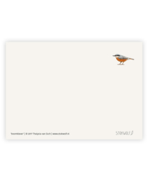 postcard | Nuthatch