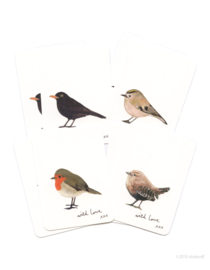 mini kaartjes | Vogels (set)