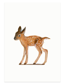 postcard | Young deer