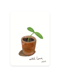 mini cards | Pumpkin plant