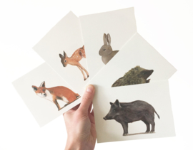 postkaart | Jong wild konijn