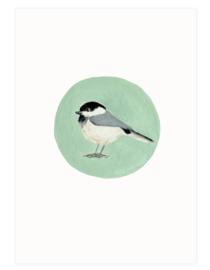 postcard | Willow tit