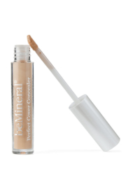 beMineral Perfect Cover Concealer
