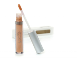beMineral Perfect Cover Concealer
