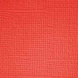 Doggone Cute 12x12 Inch Textured Cardstock Assortment Pack (