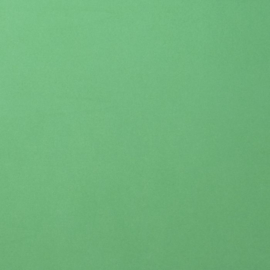 Florence • Cardstock smooth 30,5x30,5cm Emerald