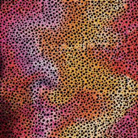 Cricut Infusible Ink Transfer Sheet Patterns Rainbow Cheetah