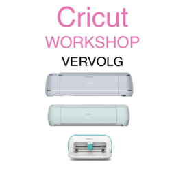 Cricut design space workshop VERVOLG
