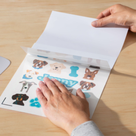 Printable Waterproof Sticker Set A4 Transparent Hologoraphic (5pcs)