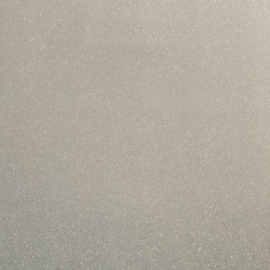 Premium Vinyl Shimmer Silver