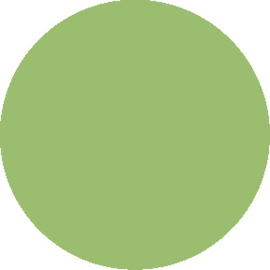 Pastel Green ( Licht Groen)