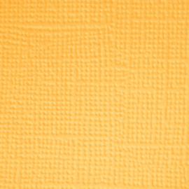 Doggone Cute 12x12 Inch Textured Cardstock Assortment Pack (