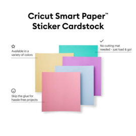 Cricut Smart Sticker Cardstock 33x33cm Pastels (10pcs)