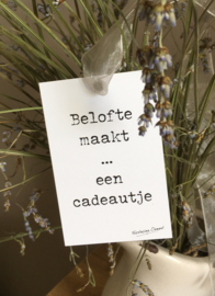 Belofte maakt...