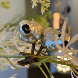 Twee vogeltjes op clip