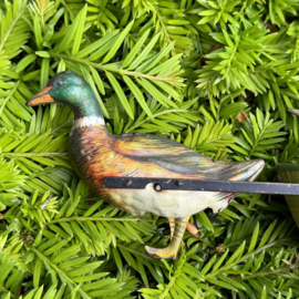 Quack-Quack Lehmann