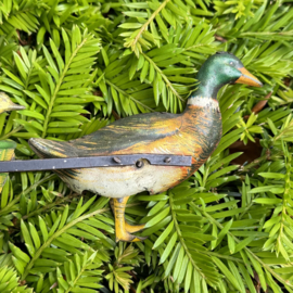 Quack-Quack Lehmann
