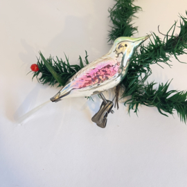 Vogeltje op clip