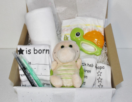 Cadeaubox Schildpad met invul romper & slab