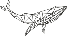 Geometrische walvis