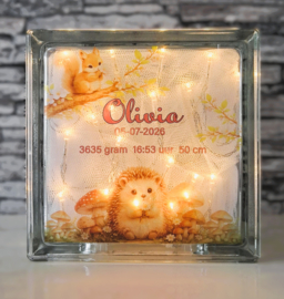 Glazen geboorteblok Egel met verlichting