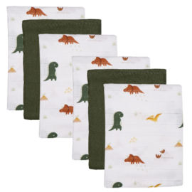 Blush & Blossom Dinosaurus hydrofiel luiers 6 pack